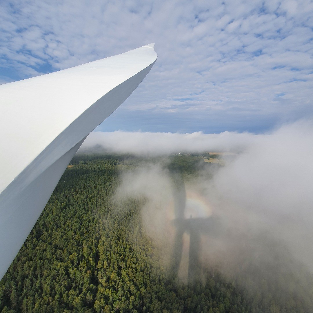 Aircraft wing over forested landscape with patchy clouds, casting a shadow encircled by a rainbow halo on mist below.