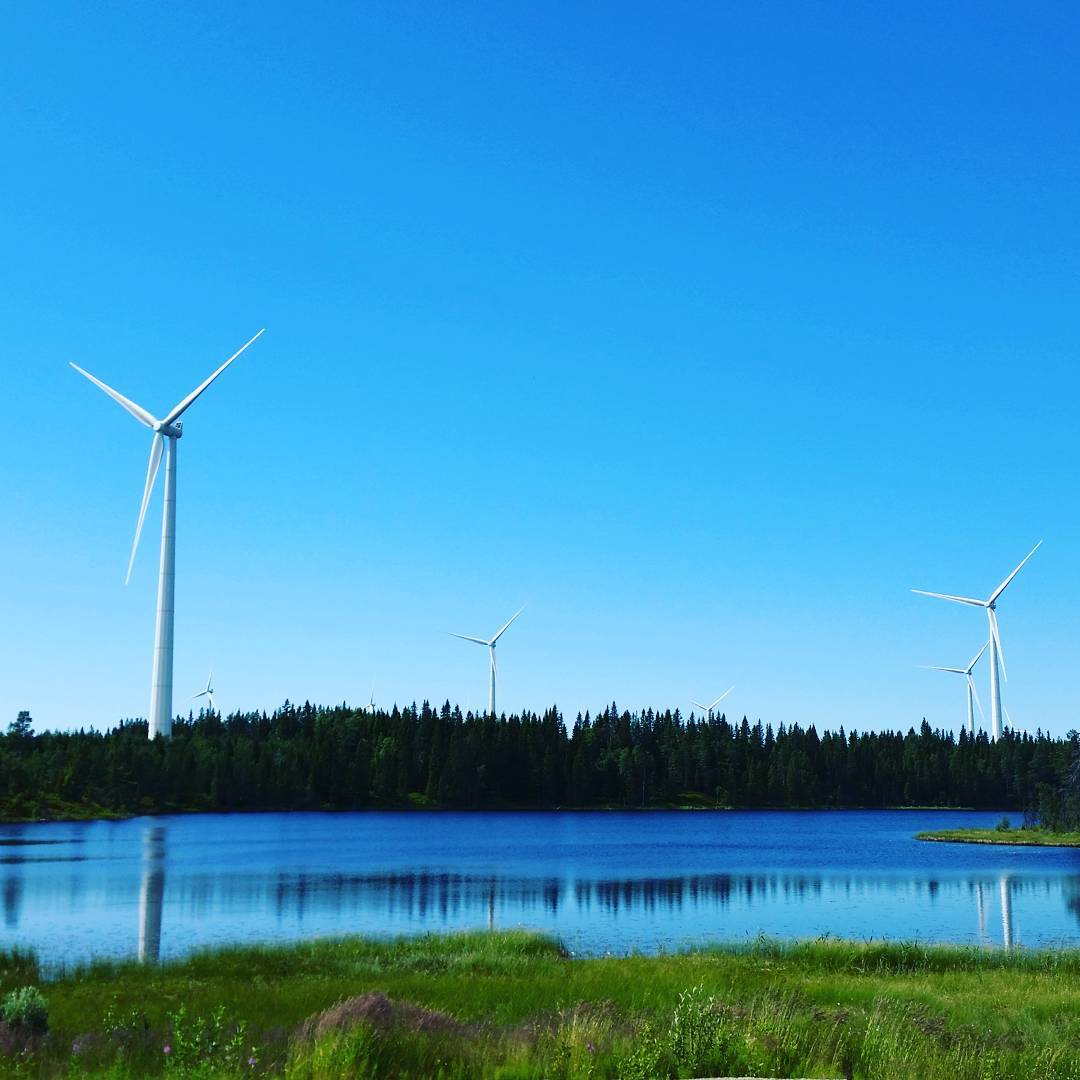 Wind turbines rising above a forest treeline, reflected in a calm lake with grass in the foreground under a clear blue sky.