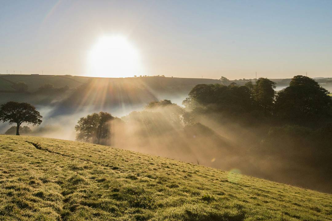 Sunrise over misty hills with trees, sun rays breaking through fog, sloped grassy field in foreground.