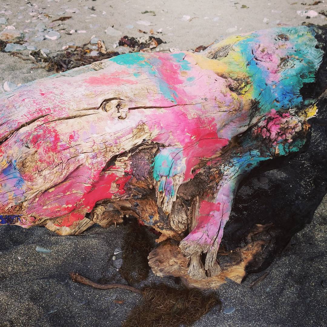 Weathered driftwood log covered in colorful paint splatters—pink, teal, yellow, blue—lying on a sandy beach.
