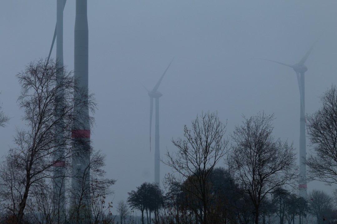 Wind turbines rising into thick fog, with bare winter trees silhouetted in the foreground.