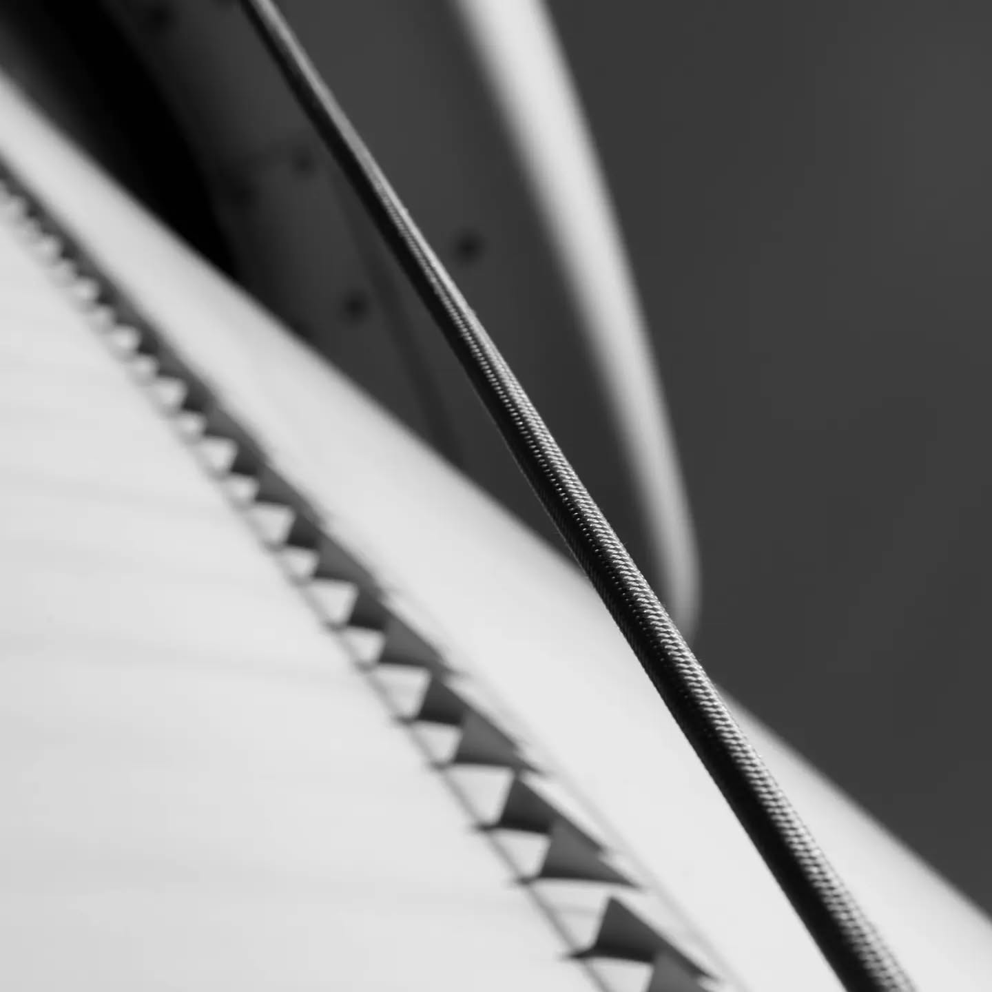 Black and white close-up of a taut cable crossing a curved, sail-like surface with a serrated, zigzag-edged panel below.
