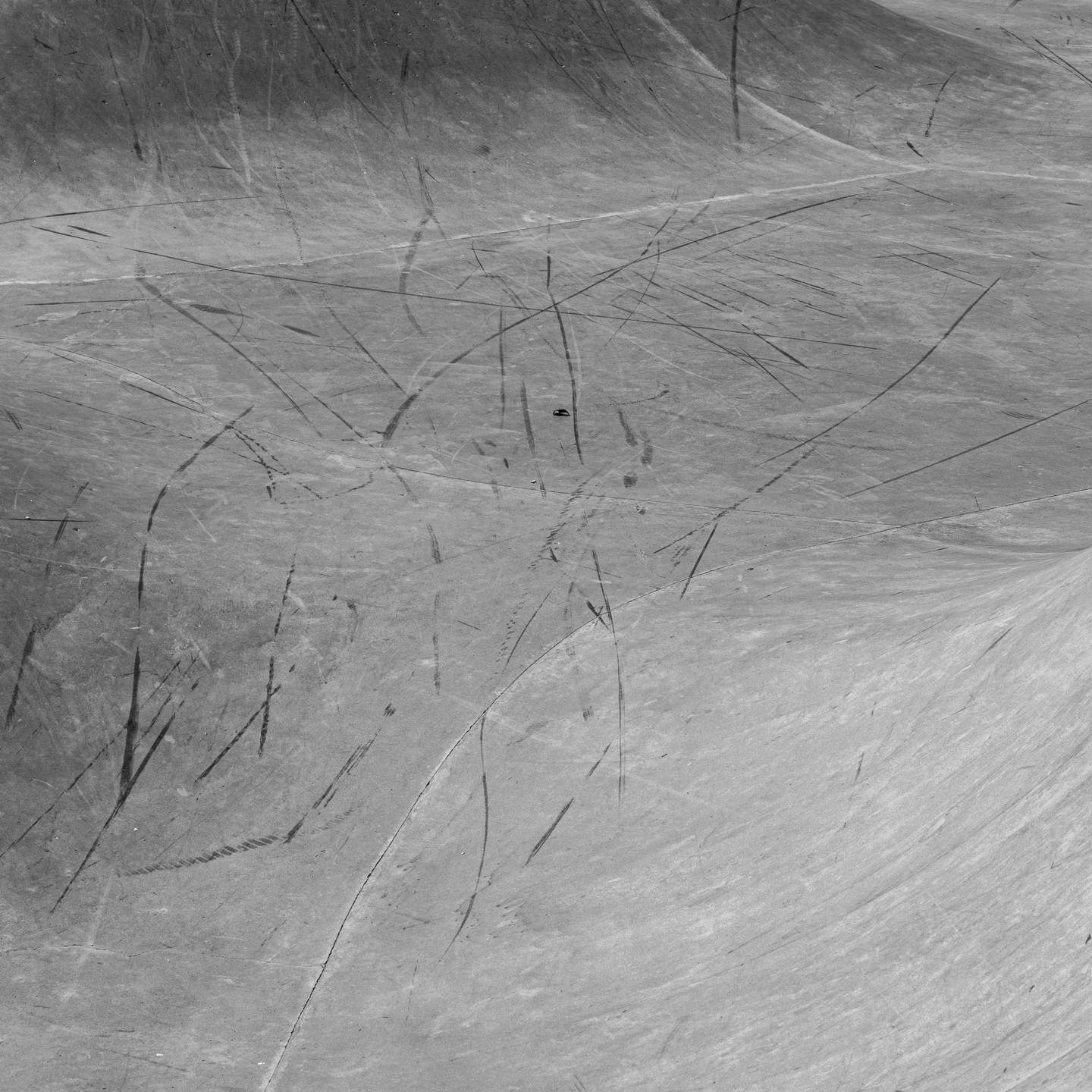 Black-and-white close-up of a curved concrete skatepark surface covered in scuff marks and scratches from skateboard trucks.