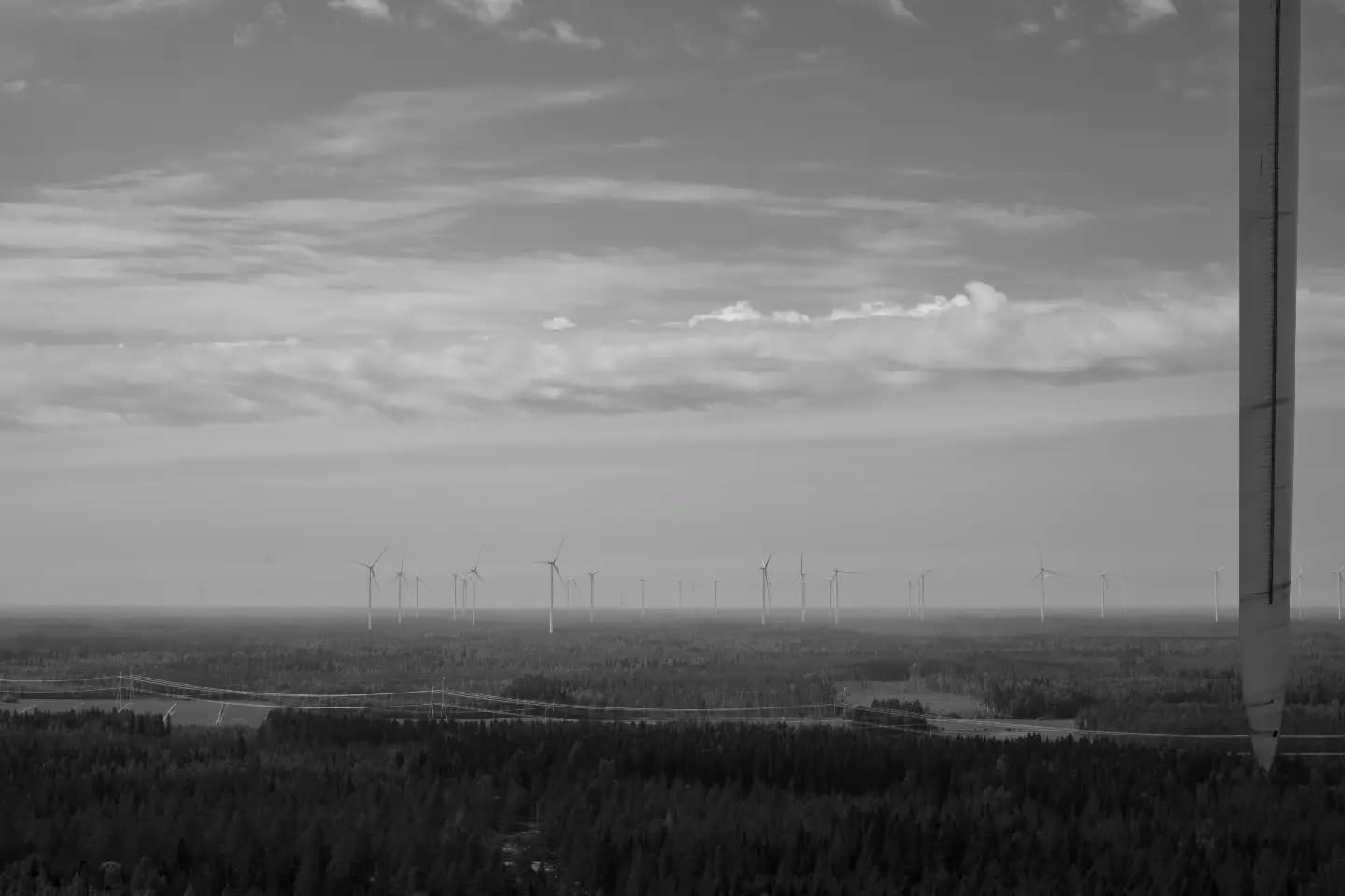Black-and-white aerial view of a wind turbine tower in foreground, forest landscape below, distant wind farm and power lines under cloudy sky.