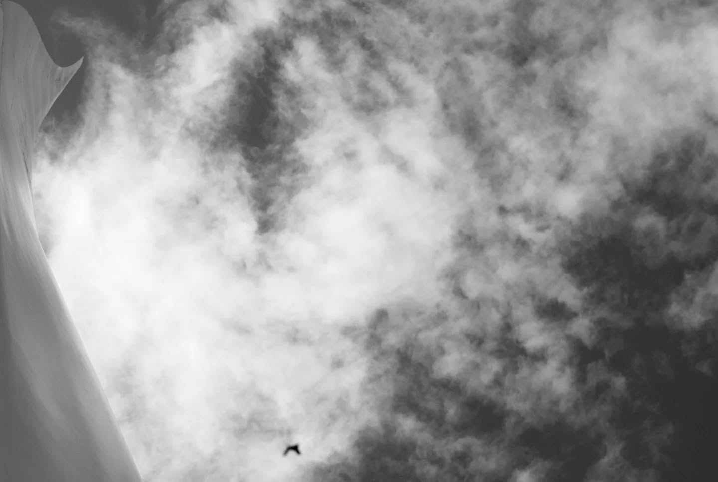 Black-and-white photo looking up at a curved wind turbine blade against a cloudy sky, with a small bird flying below.