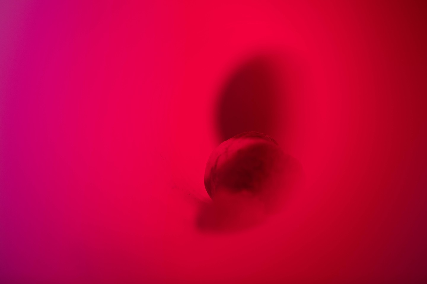 Abstract close-up of a round object with wispy tendrils, silhouetted against a glowing pink and red gradient background.