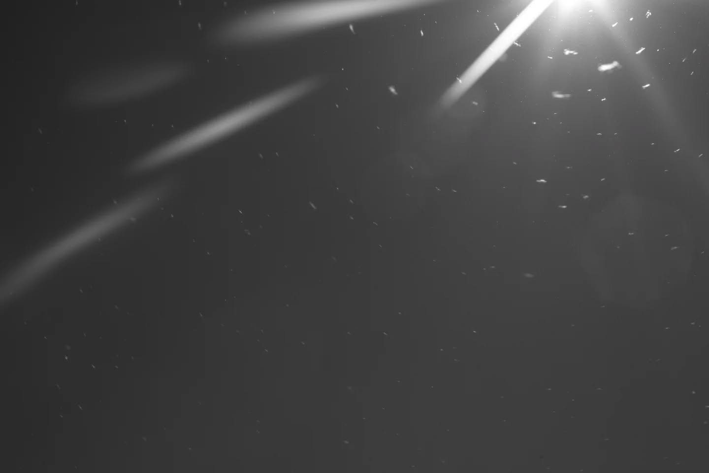 Black-and-white image with bright light source in upper right, streaks of light, and scattered dust or particles against a dark background.