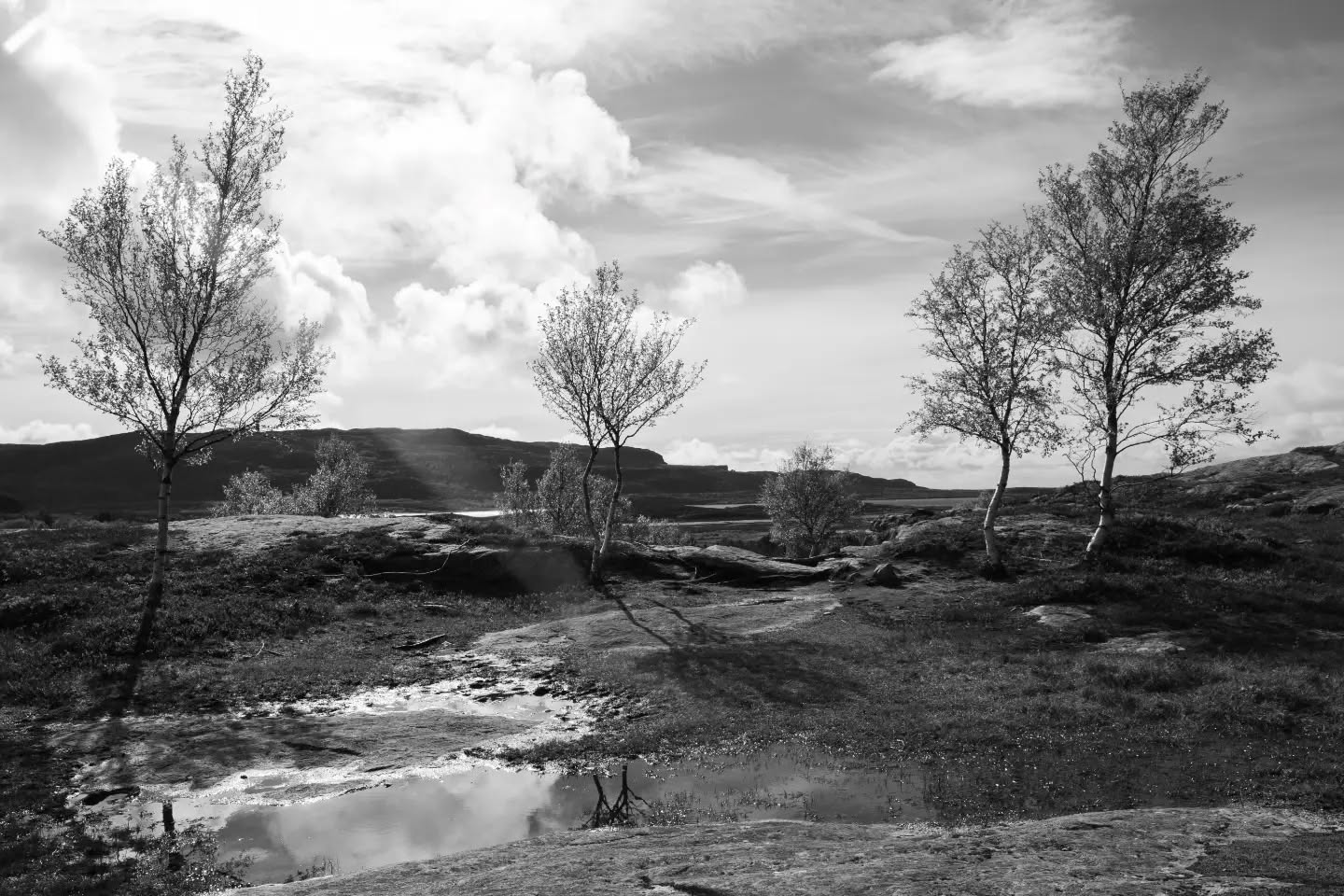 Black-and-white landscape with scattered birch trees on rocky terrain, a shallow stream, distant hills, and a cloudy sky.
