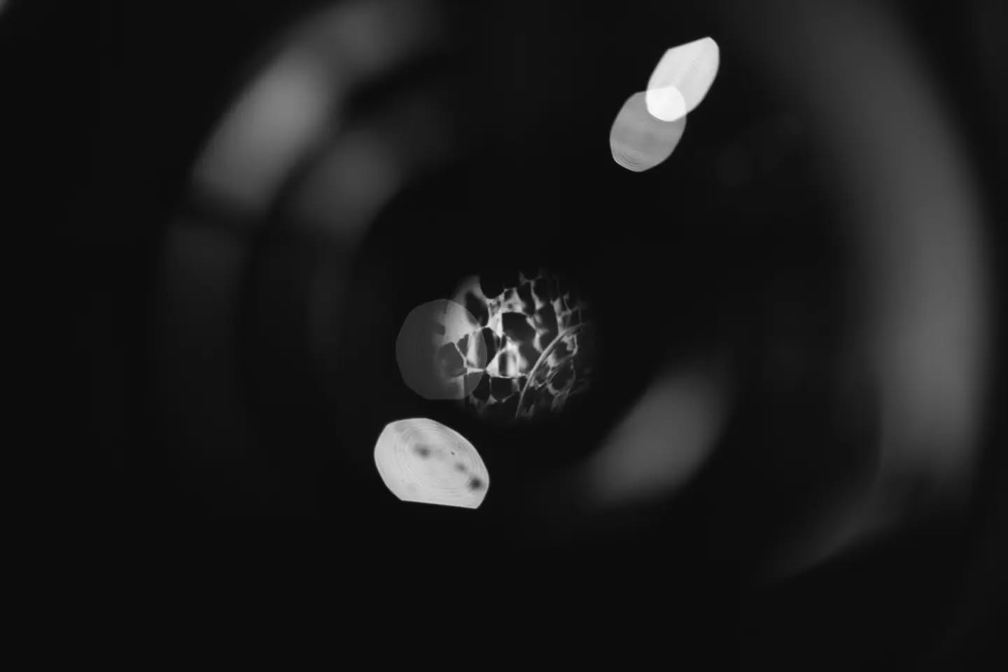 Black-and-white macro image showing blurred circular light shapes and a textured spherical form against a dark background.