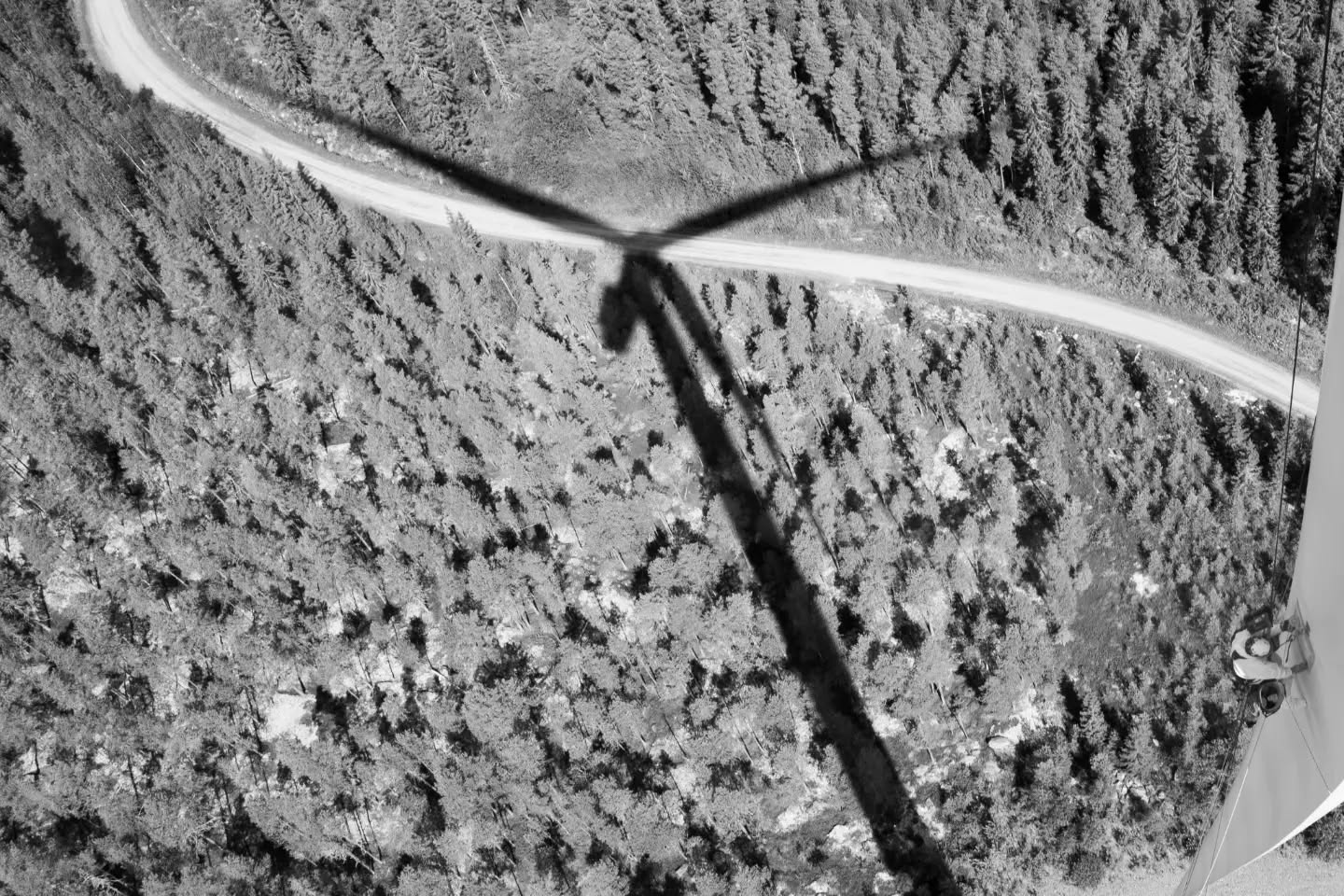 Aerial black-and-white photo of a wind turbine's shadow cast over a forest, with a road curving through trees.
