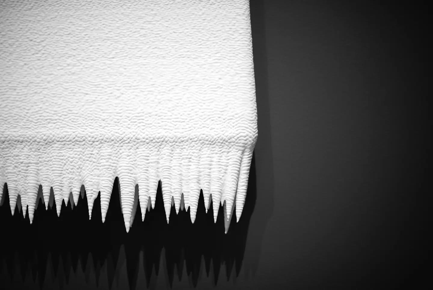 Black and white close-up of a textured white surface with jagged, spiky torn edges hanging against a dark background.