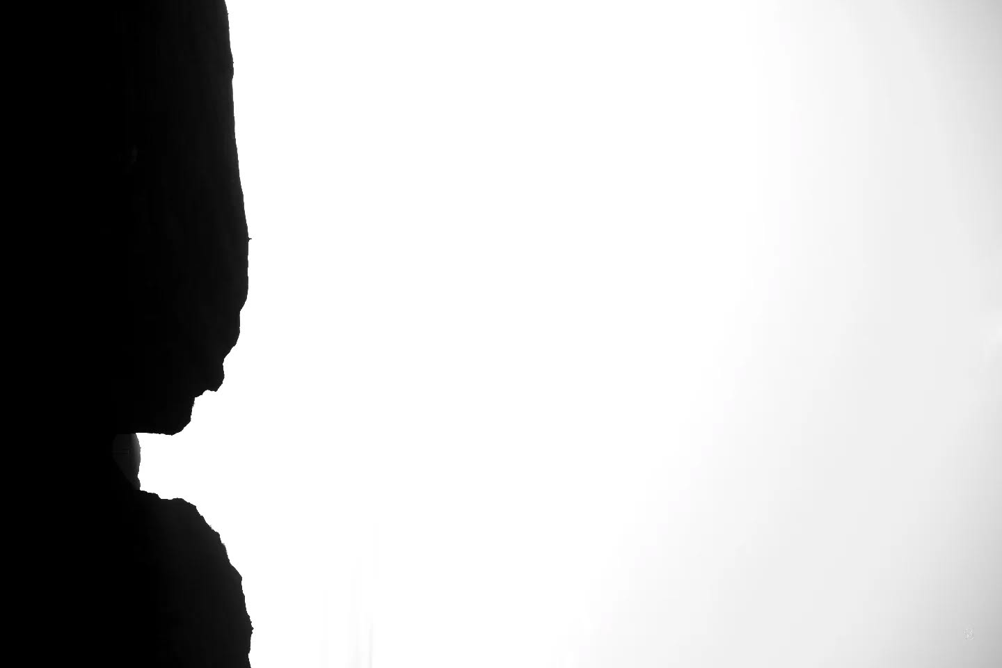 High-contrast silhouette of a person's profile facing right against a bright white background.