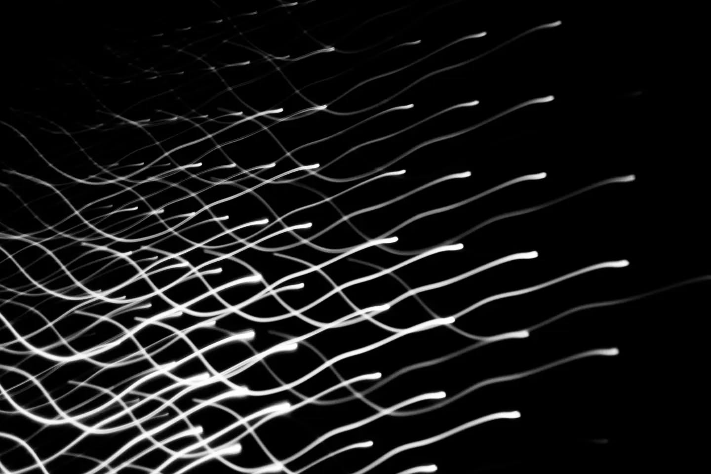 Black and white long-exposure photo of curved light trails on a black background, resembling glowing wavy strands or streaks of light.