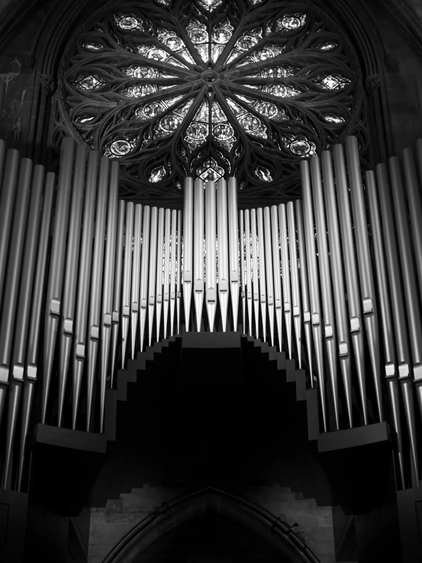 Black and white photo of cathedral organ pipes below a rose window with stained glass, arranged in a symmetrical arch shape.