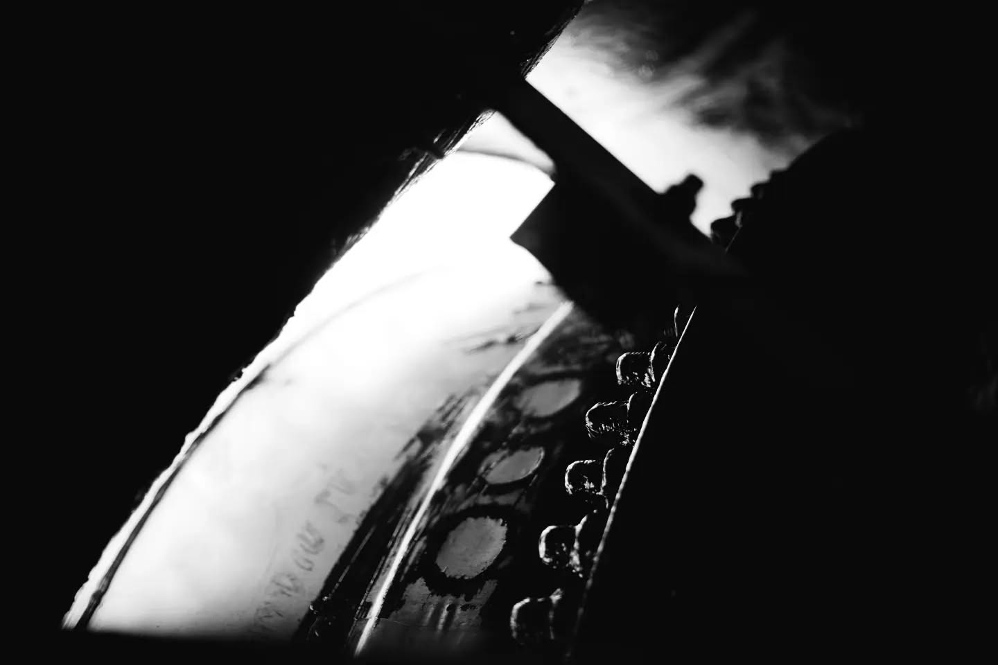 Black and white portrait photograph with an artistic, symbolic mood.