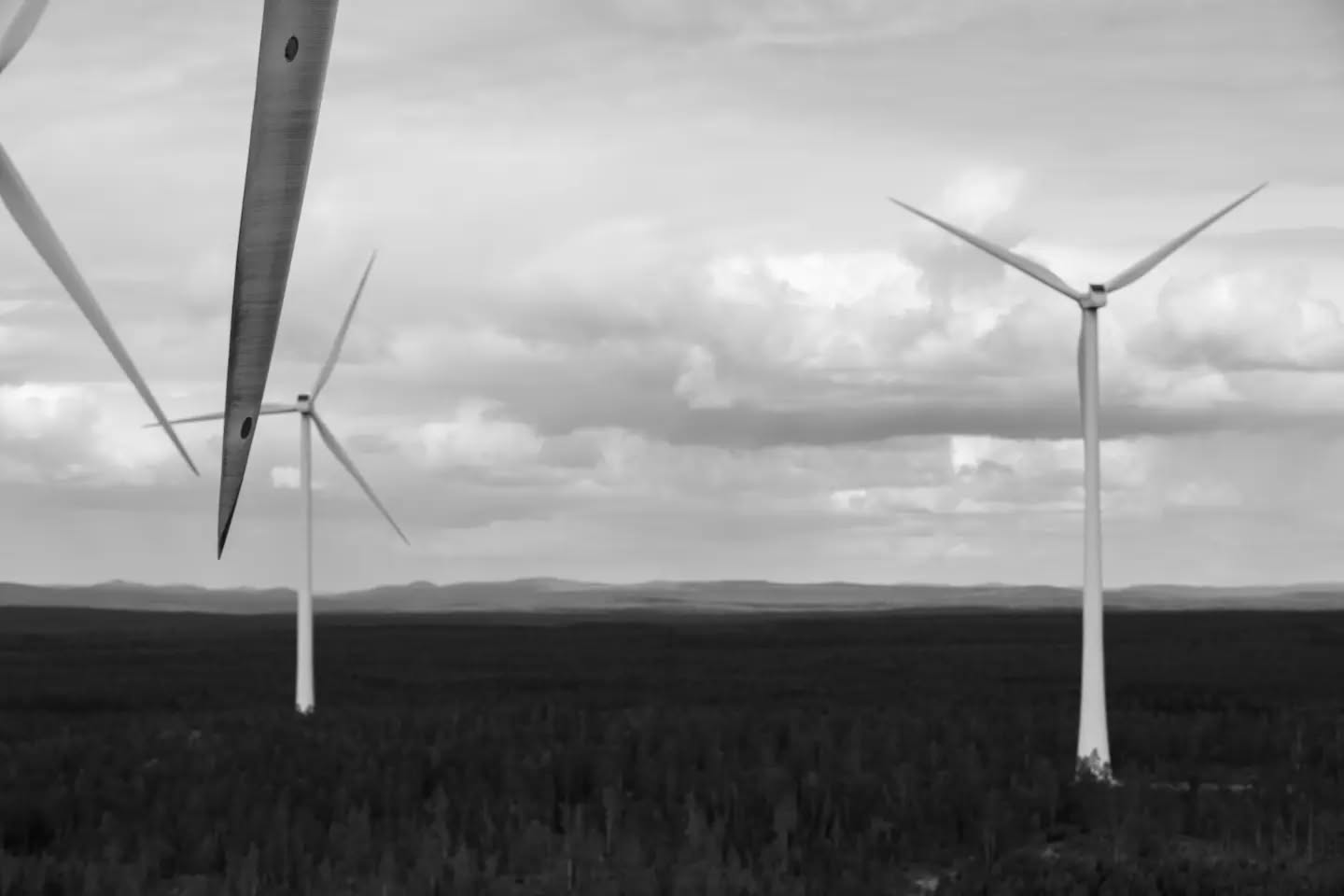 Black-and-white image of wind turbines rising above a forested landscape, with a close-up turbine blade in the foreground under a cloudy sky.